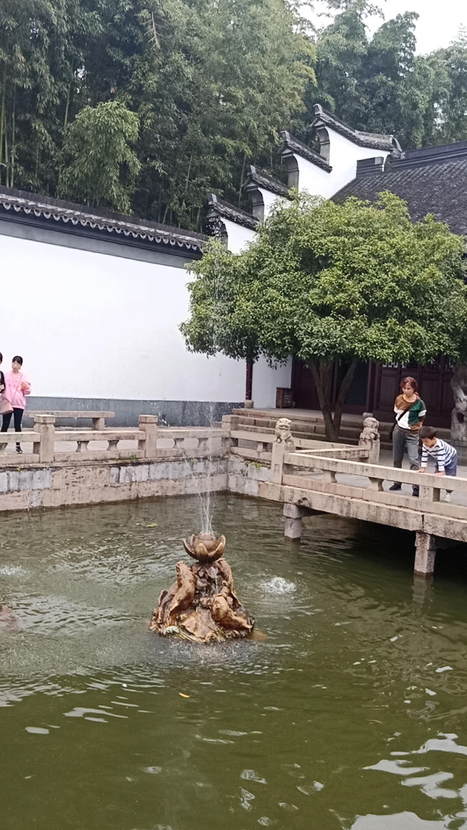 玩转上海松江‖自驾一日游《古典园林·醉白池》《繁花似锦·方塔园》